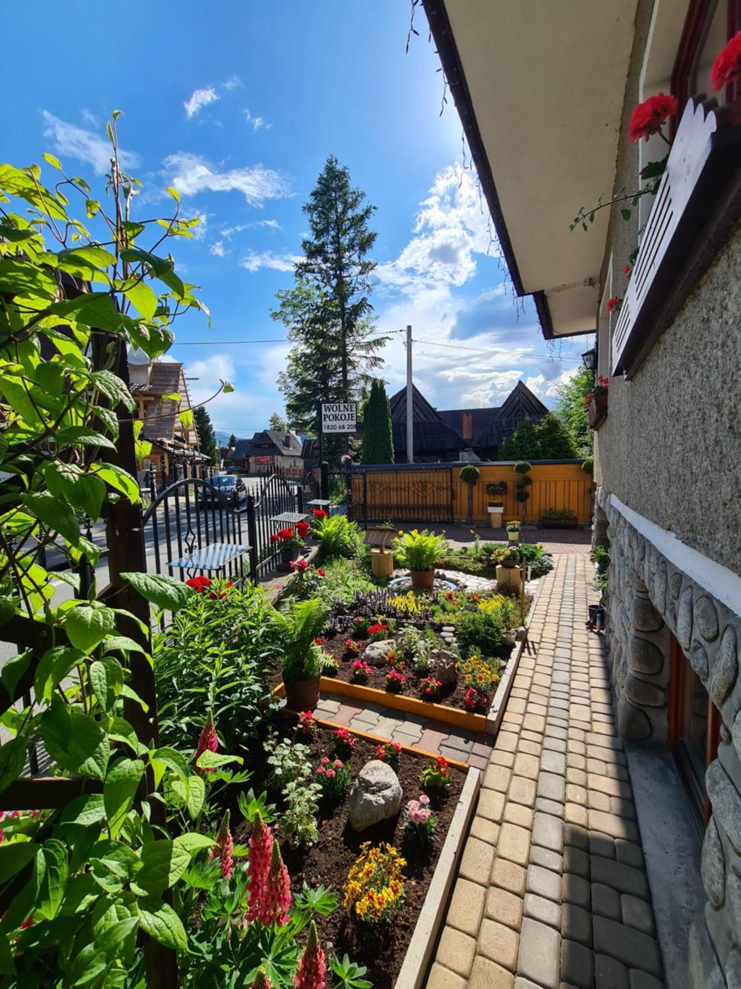 Pokoje U Anny Zakopane Dış mekan fotoğraf
